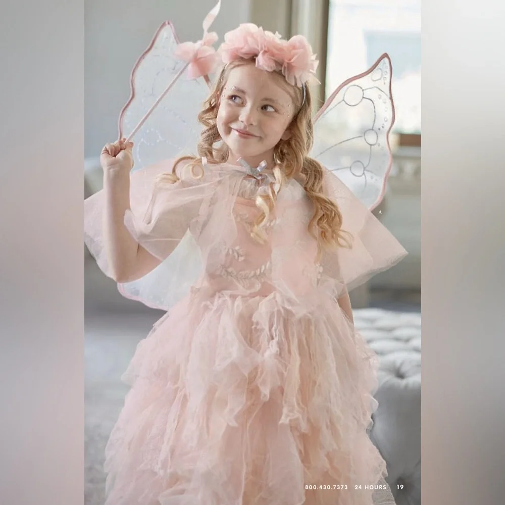 Monique Lhuillier Pottery Barn Kids Blush Fairy Costume Size 8